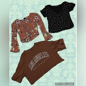 Brown black and reddish brown crop tops